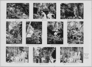 Planche issue des rapports de mission de Jean-Yves Claeys, janvier 1937. Dix photographies de Beng Mealea, les Kulens et Anlong Thom. Portraits de Louis Bezacier, Maurice Glaize et son épouse. EFEO_CAM01766