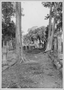 Banteay Srei, chaussée d’accès vue vers l’ouest EFEO_CAM07244