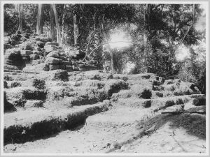 Terrasse à l'est du Ta Kev, sur le Baray EFEO_CAM10207