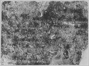 Linteau historié EFEO_CAM16743