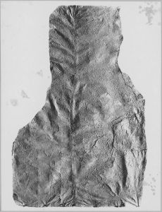 Estampage inscription EFEO_CAM16813