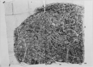 Inscription et dessin EFEO_CAM16885_1