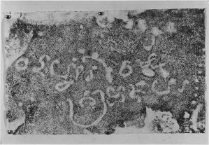 Estampage de l'inscription rupestre cham C. 104 (fragment 2) d'An Trinh EFEO_CAM16892_1