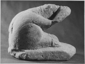 Écureuil au dos courbe et aux pattes supérieures dressées. EFEO_CAM18248