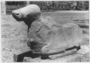 Nandin avec de larges éclats EFEO_CAM18953