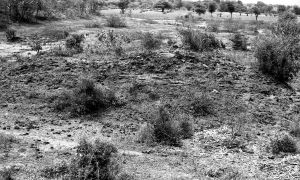 Tertre n°789 du site de Pagan EFEO_PICP06762
