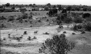 Monastères et tertre n°789 + 788 + 787 du site de Pagan EFEO_PICP06764