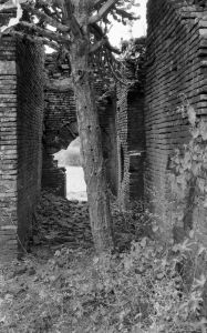 Monastère n°798 Pya-tha-nge du site de Pagan EFEO_PICP06842