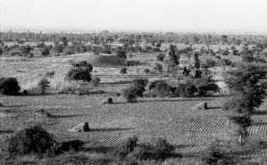 Stupas n°804 + 805 du site de Pagan EFEO_PICP06918