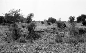 Tertre n°808 du site de Pagan EFEO_PICP06932