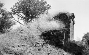 Temple n°812 du site de Pagan EFEO_PICP06946
