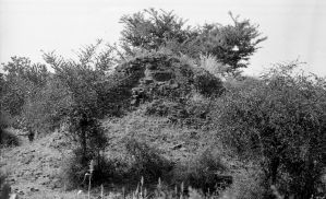 Stupa inclus n°819 du site de Pagan EFEO_PICP06968