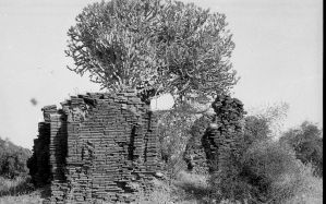 Temple n°824 du site de Pagan EFEO_PICP06991