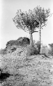 Monastère n°829 du site de Pagan EFEO_PICP07004