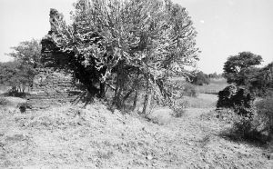 Monastère n°830 du site de Pagan EFEO_PICP07007