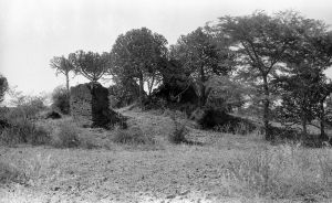 Monastère n°830 du site de Pagan EFEO_PICP07008