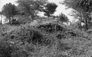 Temple n°831 du site de Pagan EFEO_PICP07012