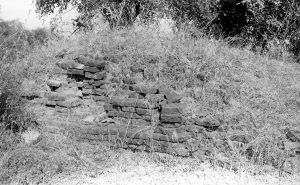 Temple n°831 du site de Pagan EFEO_PICP07014