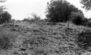 Tertre n°834 du site de Pagan EFEO_PICP07019