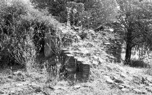 Temple n°835 du site de Pagan EFEO_PICP07023