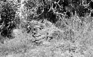 Temple n°838 du site de Pagan EFEO_PICP07030
