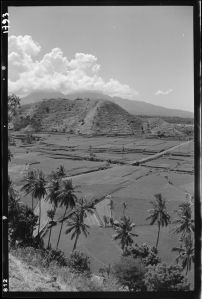 Paysage près de Karangasem EFEO_GROB03851