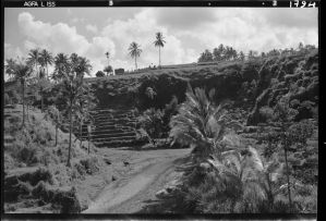 Paysage près de Karangasem EFEO_GROB03852