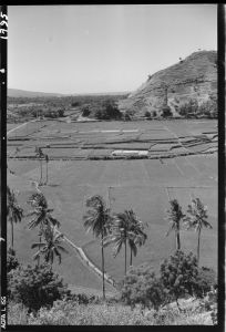 Paysage près de Karangasem EFEO_GROB03853