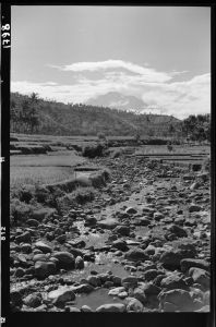 Paysage près de Karangasem EFEO_GROB03856