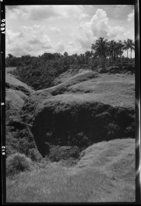 Paysage près de Bedulu EFEO_GROB03863