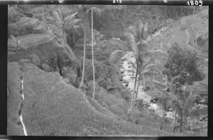 Paysage près de Bedulu EFEO_GROB03866