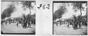 « Fêtes, divertissements, et processions chinoises à Phnom Penh. Un animal monstrueux » EFEO_MARH00473