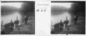 « Ceylan. Kandy - Le bain des éléphants » EFEO_MARH00532