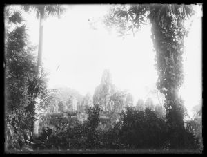 Vue du Bayon avant débroussaillement EFEO_MARH01411