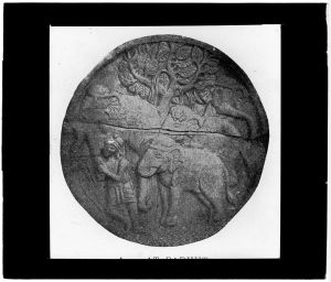 Bas-relief : scène de la vie antérieure du Buddha (Chhaddanta Jataka) EFEO_MARH01449