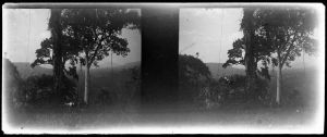 Phnom Kulen (?) EFEO_MARH01504