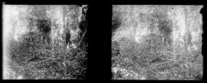 Temple dans la forêt EFEO_MARH01524