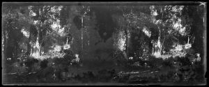 Temple dans la forêt EFEO_MARH01574