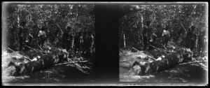Dégagement d'une statue monumentale au Phnom Dei EFEO_MARH01583