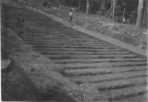 Phnom Bakheng : dégagement de l'escalier nord EFEO_MARH02348