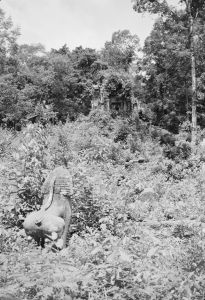 Prasat Beng Mealea (?), lion gardien d'échiffre EFEO_NAFI00456